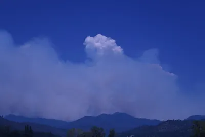 DSC_1869 (Large).JPG